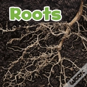 Roots