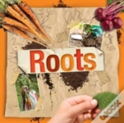 Capa do artigo Roots