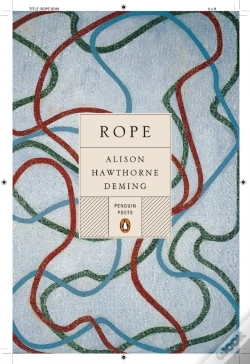 Capa do artigo Rope