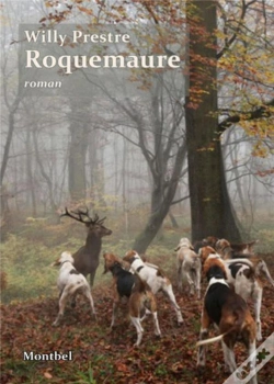 Capa do artigo Roquemaure