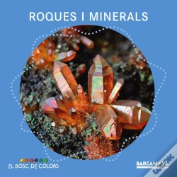 Capa do artigo Roques I Minerals
