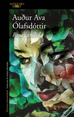 Capa do artigo Rosa Candida