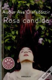 Capa do artigo Rosa Candida