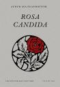 Rosa Candida - Preview