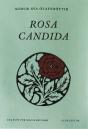 Rosa Candida - Preview