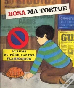 Capa do artigo Rosa Ma Tortue