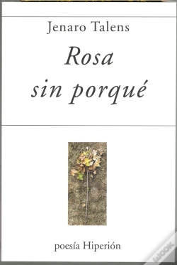 Capa do artigo Rosa Sin Porque