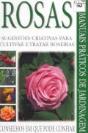 Rosas - Preview