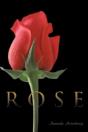 Rose - Preview