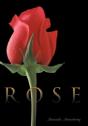 Rose - Preview