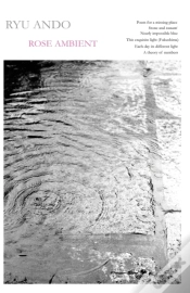 Capa do artigo Rose Ambient