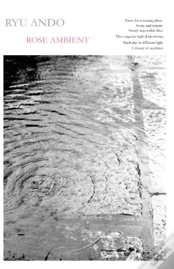 Capa do artigo Rose Ambient