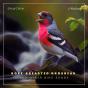 Rose-Breasted Grosbeak And Other Bird Songs - Preview