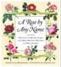Rose By Any Name - Preview