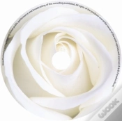 Capa do artigo Rose Card