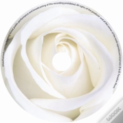 Capa do artigo Rose Card