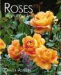 Rose - Preview
