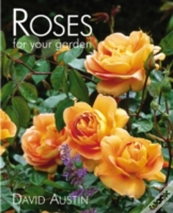 Capa do artigo Rose