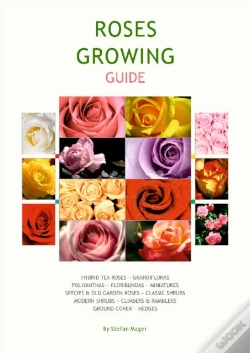 Capa do artigo Rose Growing Guide
