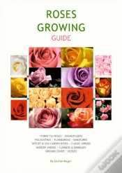 Capa do artigo Rose Growing Guide