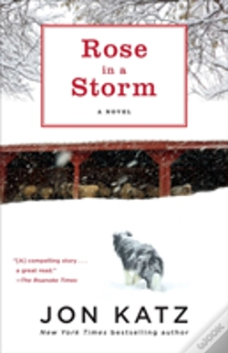Capa do artigo Rose In A Storm