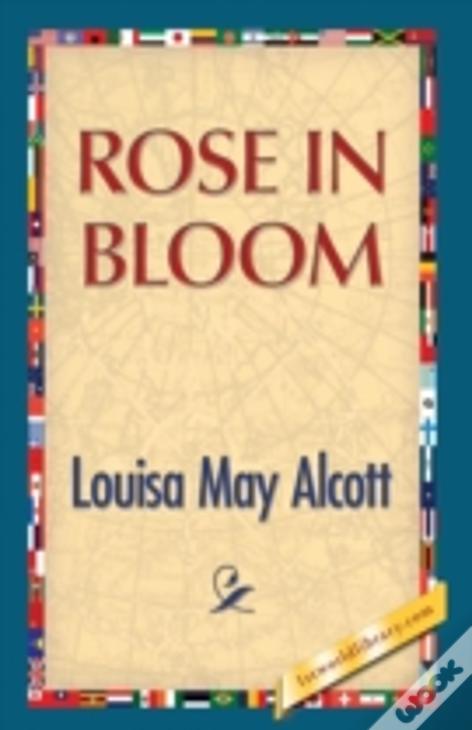 Rose In Bloom