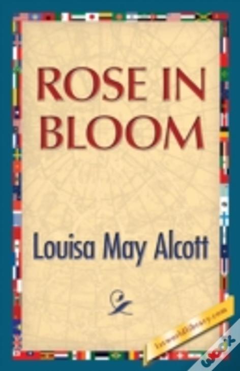 Rose In Bloom