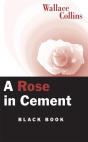 Rose In Cement - Preview