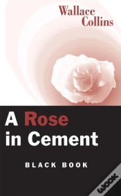 Capa do artigo Rose In Cement