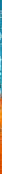 Rose In The Desert