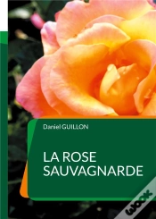 Capa do artigo Rose Sauvagnarde