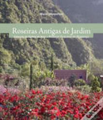 Roseiras Antigas de Jardim