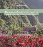 Roseiras Antigas de Jardim - Preview