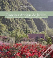 Capa do artigo Roseiras Antigas de Jardim