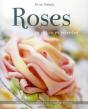 Roses A Broder - Preview