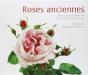 Roses Anciennes - Preview