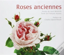 Capa do artigo Roses Anciennes