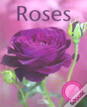 Capa do artigo Roses