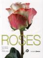Roses - Preview