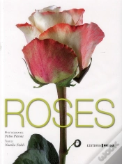 Capa do artigo Roses