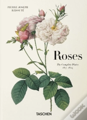 Capa do artigo Roses