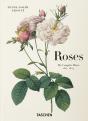 Roses - Preview