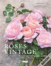 Capa do artigo Roses Vintage