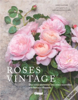 Capa do artigo Roses Vintage
