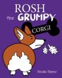 Rosh The Grumpy Corgi - Preview