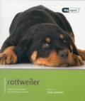 Rottweiler - Dog Expert