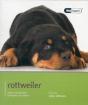 Rottweiler - Dog Expert - Preview