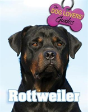 Rottweiler - Preview