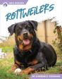 Rottweilers - Preview