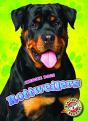 Rottweilers - Preview